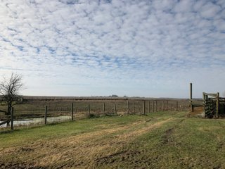 Property photo 3 - PRIME LAND AUCTION - 160+/- ACRES IN 4 TRACTS IN UNION COUTY, INDIANA